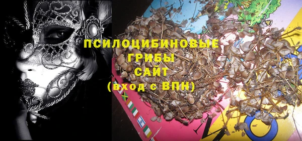 марки nbome Богданович