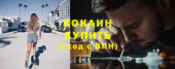 mdpv Богородск