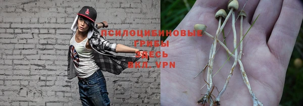 a pvp Богородицк