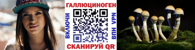 гидра   Кораблино  площадка формула  Галлюциногенные грибы Psilocybine cubensis 